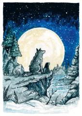 Oferta Wook - Postal "Guiados pela Lua"