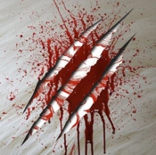 Capa do artigo /// - CD