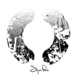 Capa do artigo ( ) - Vinil