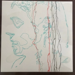 Capa do artigo 0 - Vinil
