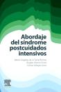 025 Abordaje Del Sindrome Postcuidados Intensivos - Preview