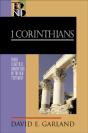 1 Corinthians (Baker Exegetical Commentary On The New Testament) - Preview