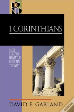 Capa do artigo 1 Corinthians (Baker Exegetical Commentary On The New Testament)