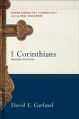 1 Corinthians - Preview
