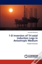 Capa do artigo 1-D Inversion Of Tri-Axial Induction Logs In Anisotropic Medium