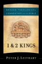 1 & 2 Kings (Brazos Theological Commentary On The Bible) - Preview