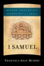 1 Samuel (Brazos Theological Commentary On The Bible) - Preview