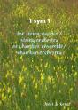1 Sym 1 For String Quartet/String Orchestra Or Chamber Ensemble/Chamber Orchestra - Preview
