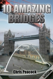 Capa do artigo 10 Amazing Bridges