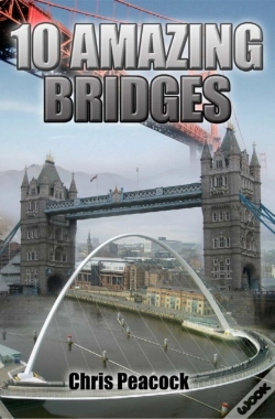 Capa do artigo 10 Amazing Bridges