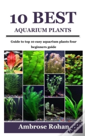 10 Best Aquarium Plants