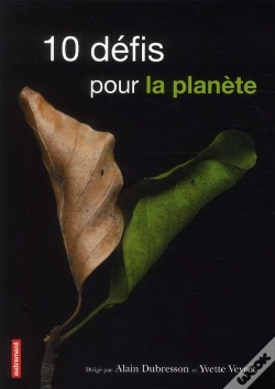 Capa do artigo 10 Defis Pour La Planete