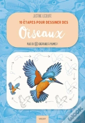 10 Étapes Pour Dessiner Des Oiseaux : Plus De 50 Créatures À Plumes !