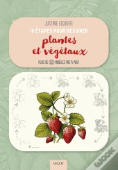 10 Étapes Pour Dessiner Plantes Et Végétaux : Plus De 50 Modèles Pas À Pas !