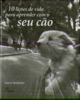 10 Lições de Vida para Aprender com o Seu Cão