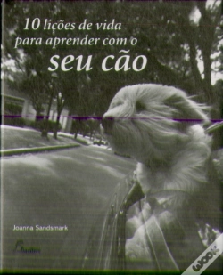 Capa do artigo 10 Lições de Vida para Aprender com o Seu Cão
