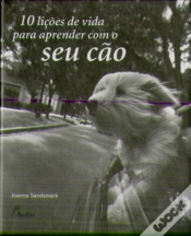 Capa do artigo 10 Lições de Vida para Aprender com o Seu Cão