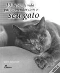 Capa do artigo 10 Lições de Vida para Aprender com o Seu Gato
