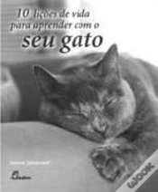 Capa do artigo 10 Lições de Vida para Aprender com o Seu Gato