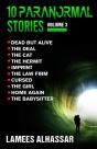 10 Paranormal Stories Volume 3 - Preview