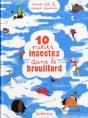 10 Petits Insectes T.2 ; 10 Petits Insectes Dans Le Brouillard - Preview