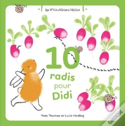 Capa do artigo 10 Radis Pour Didi