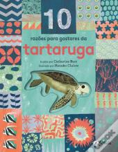 10 Razões para Gostares da Tartaruga