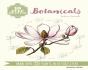 10 Step Drawing: Botanicals - Preview