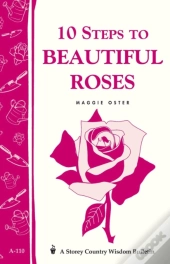 10 Steps To Beautiful Roses