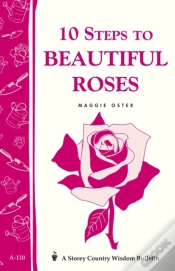 Capa do artigo 10 Steps To Beautiful Roses