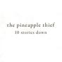 10 Stories Down - Vinil - Preview