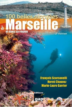 Capa do artigo 100 Belles Plongees A Marseille Et Dans Sa Region