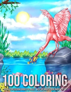 Capa do artigo 100 Coloring