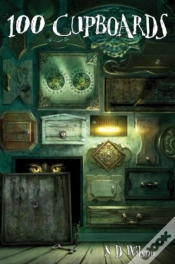 Capa do artigo 100 Cupboards (100 Cupboards Book 1)