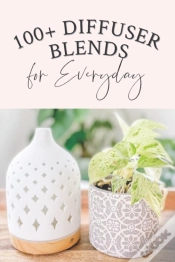 Capa do artigo 100+ Diffuser Blends For Everyday