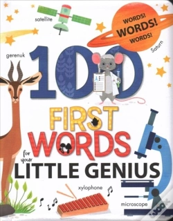 Capa do artigo 100 First Words For Little Genius