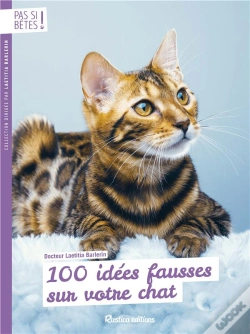 Capa do artigo 100 Idees Fausses Sur Votre Chat