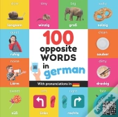 100 Opposite Words In German