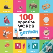 Capa do artigo 100 Opposite Words In German