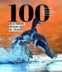 100 Plus Belles Photos De Chasse - Preview