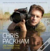 Capa do artigo 100 Things That Caught My Eye