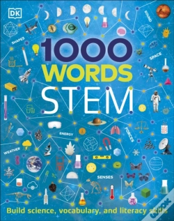 Capa do artigo 1000 Words: Stem