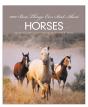 1001 Best Things Ever Said About Horses - Preview