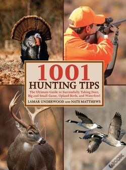 Capa do artigo 1001 Hunting Tips