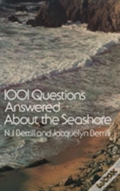 Capa do artigo 1001 Questions Answered About The Seashore