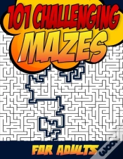 Capa do artigo 101 Challenging Mazes