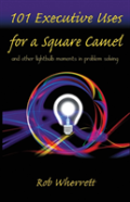 101 Executive Uses For A Square Camel
