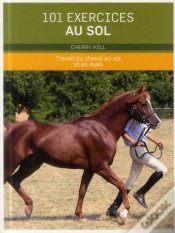 Capa do artigo 101 Exercices Au Sol ; Travail Du Cheval Au Sol Et En Main
