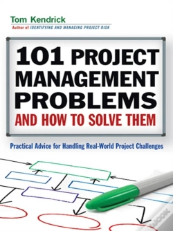 Capa do artigo 101 Project Management Problems And How To Solve Them