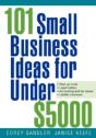101 Small Business Ideas For Under $5000 - Preview